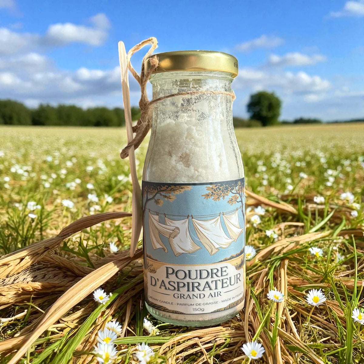 POUDRE ASPIRATEUR - GRAND AIR - 150G