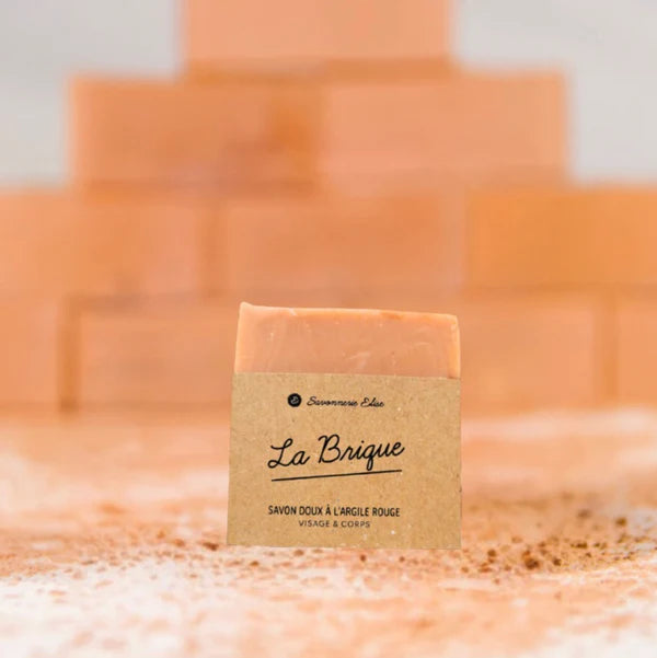SAVON LA BRIQUE - 100gr