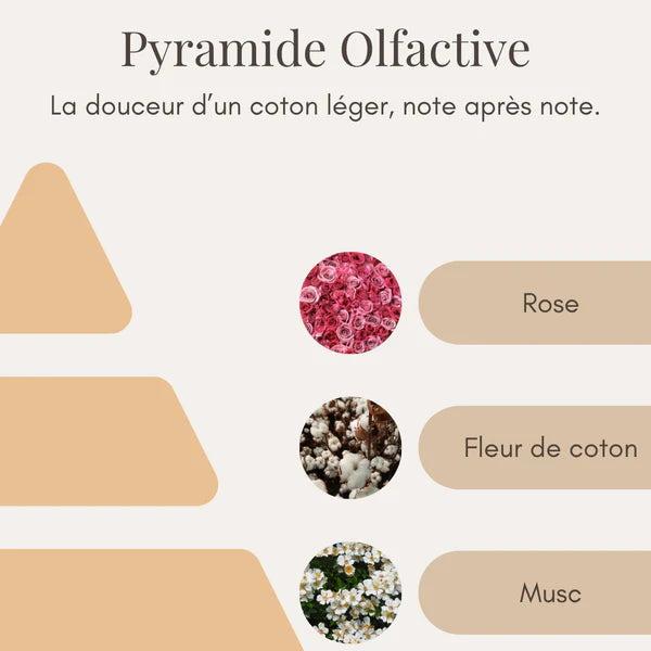 BOUGIE PARFUMÉE - FLEUR DE COTON