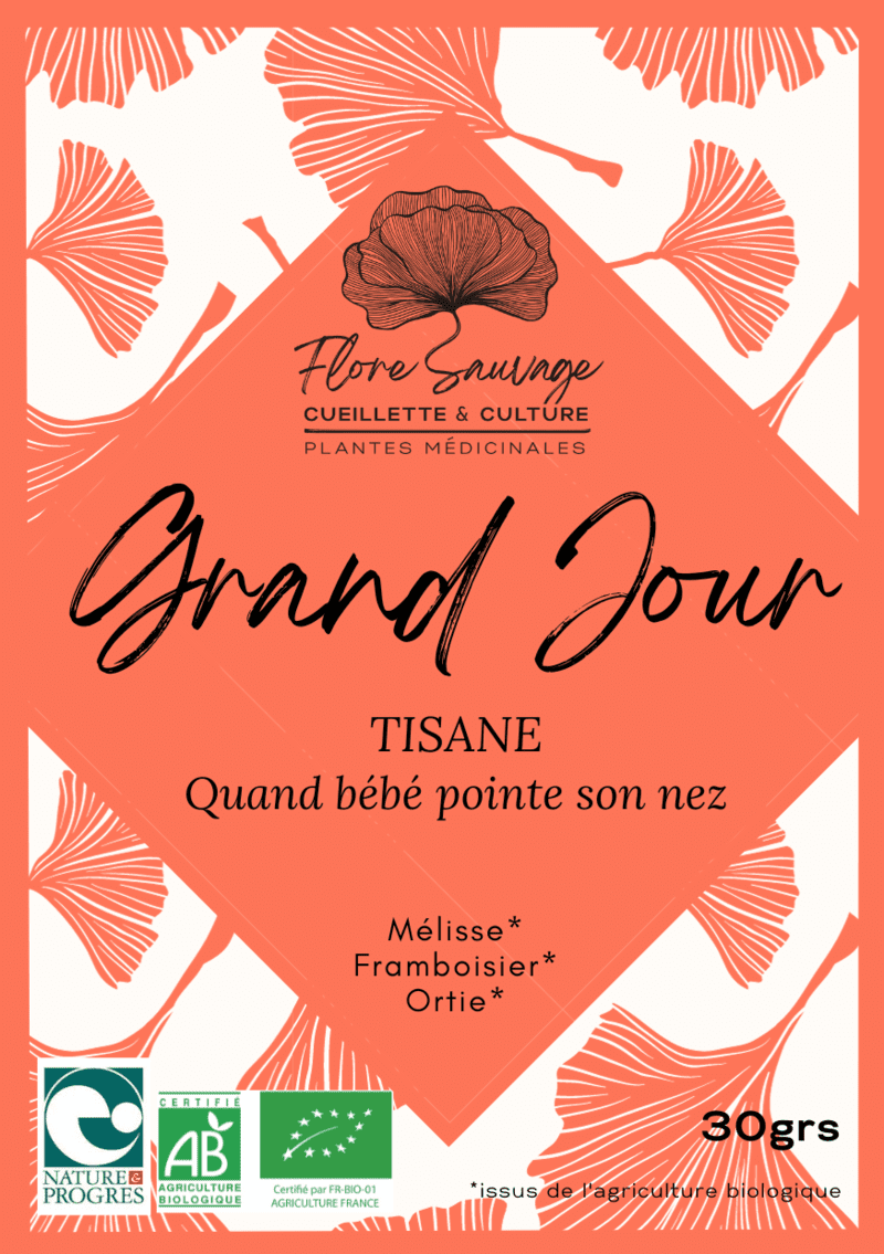 TISANE GRAND JOUR - 30G