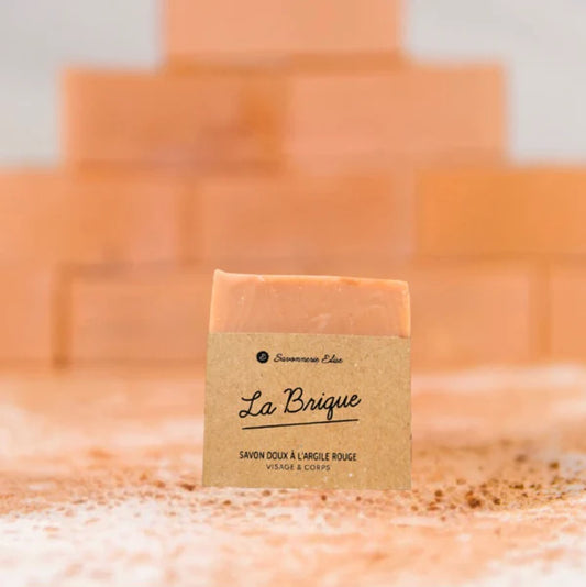 SAVON LA BRIQUE - 100gr